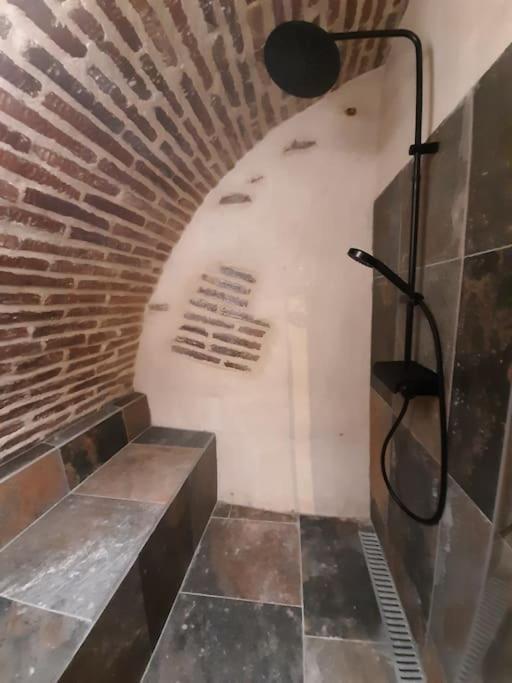 Studio Et Spa Privatif Le Puits De La Grace 알비 외부 사진