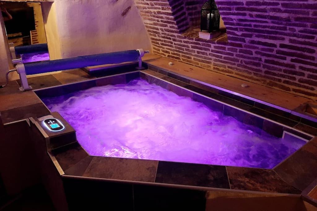 Studio Et Spa Privatif Le Puits De La Grace 알비 외부 사진