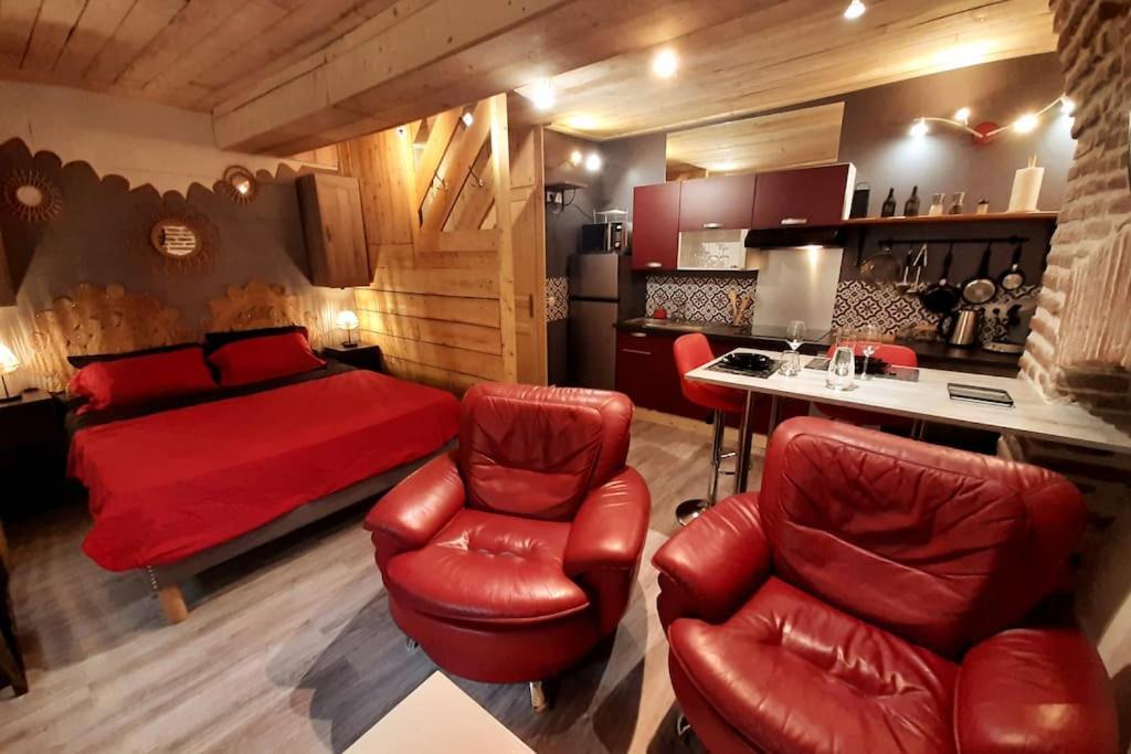 Studio Et Spa Privatif Le Puits De La Grace 알비 외부 사진